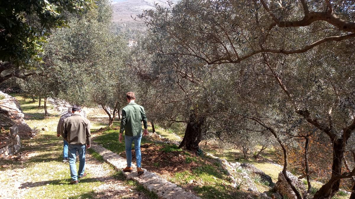 DVADESETŠEST KORISNIKA PODSTICAJA U POLJOPRIVREDI U 2023. GODINI